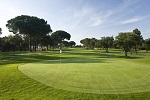 Golf Clubs in Phnom Penh - Things to Do In Phnom Penh